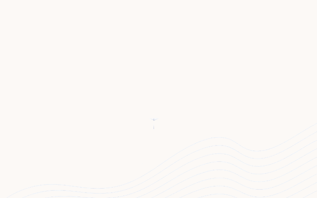 Tracey & Wiersema: Customer intimacy, operational excellence, product leadership.