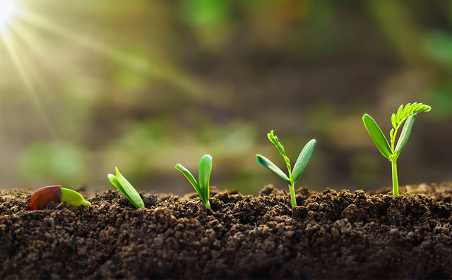 Transforming sales processes with integrated Digital Product Passports (DPP): A sustainability perspective