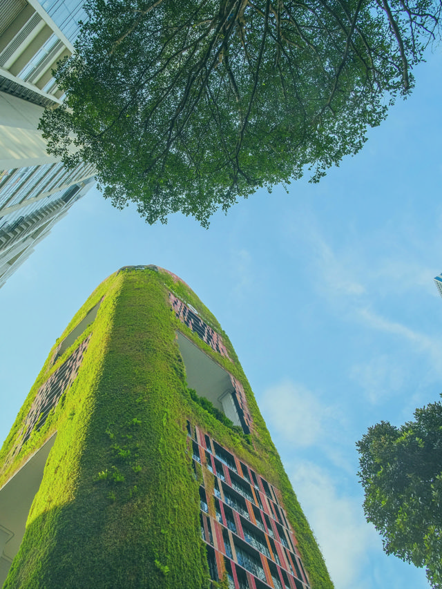 Sustainability Insights Survey 2025